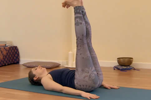 blender bottle shaker