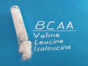 electric shaker bottle