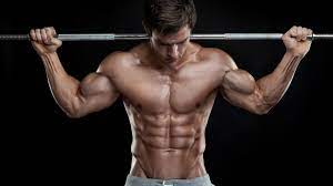 blender bottle radian