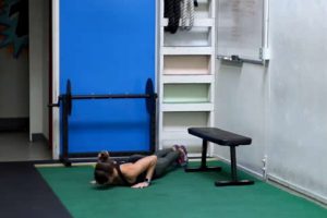 protein shakers bottles